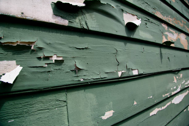 Best Hoarding Cleanup  in Slater, MO