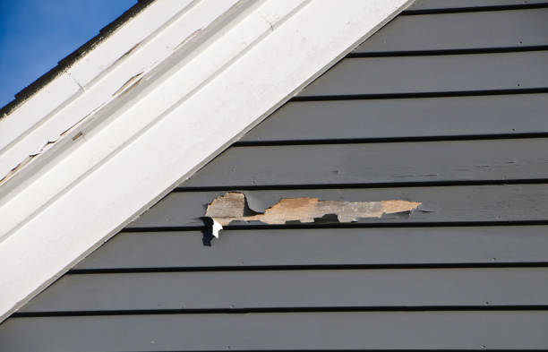 Best Shed Removal  in Slater, MO